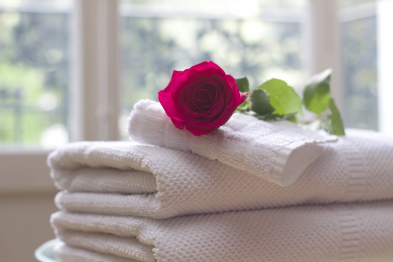 chambre-hote-BAGNOLS EN FORET-min_towel_rose_clean_care_salon_spa_white_bath-731641